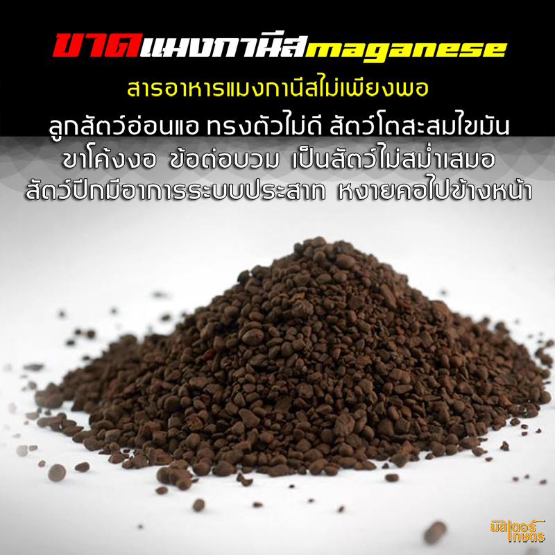 มินเนอร์99 "Minner99" แร่ธาตุจำเป็นสำหรับสัตว์